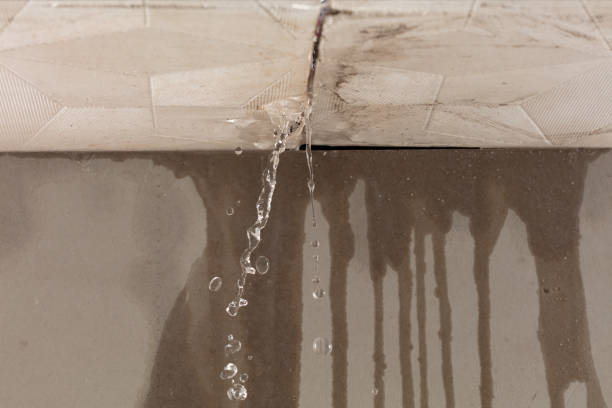 Professional Water Extraction technician working in Pingree, ND
